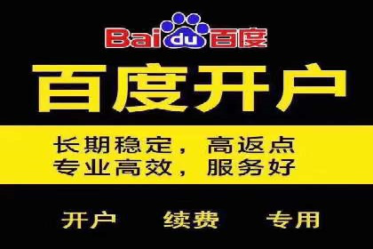 百度SEM案例：实战解析搜索排名提升之道